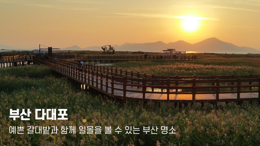  2023년 가을 시작시기, 입추 언제일까? (+가을 여행지 추천)