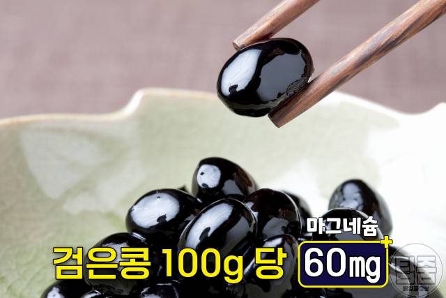 마그네슘 많은 음식 검은콩 마그네슘 하루 권장량 부작용