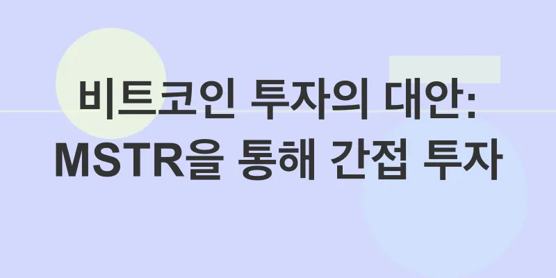 마이크로스트래티지 투자_3