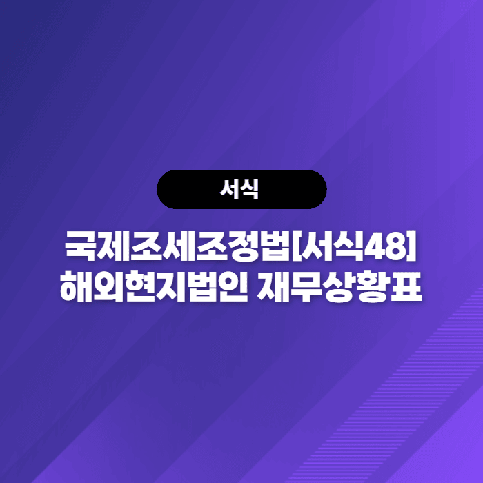  국제조세조정법[서식48] 해외현지법인 재무상황표