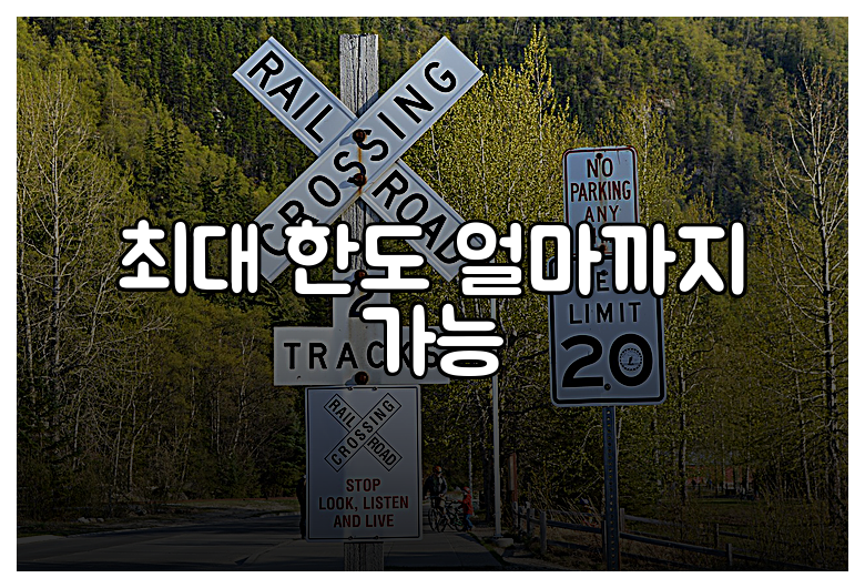 최대 한도 얼마까지 가능