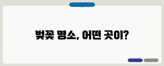 전국 벚꽃 명소 지도! 여행 필수 코스 한눈에 보기