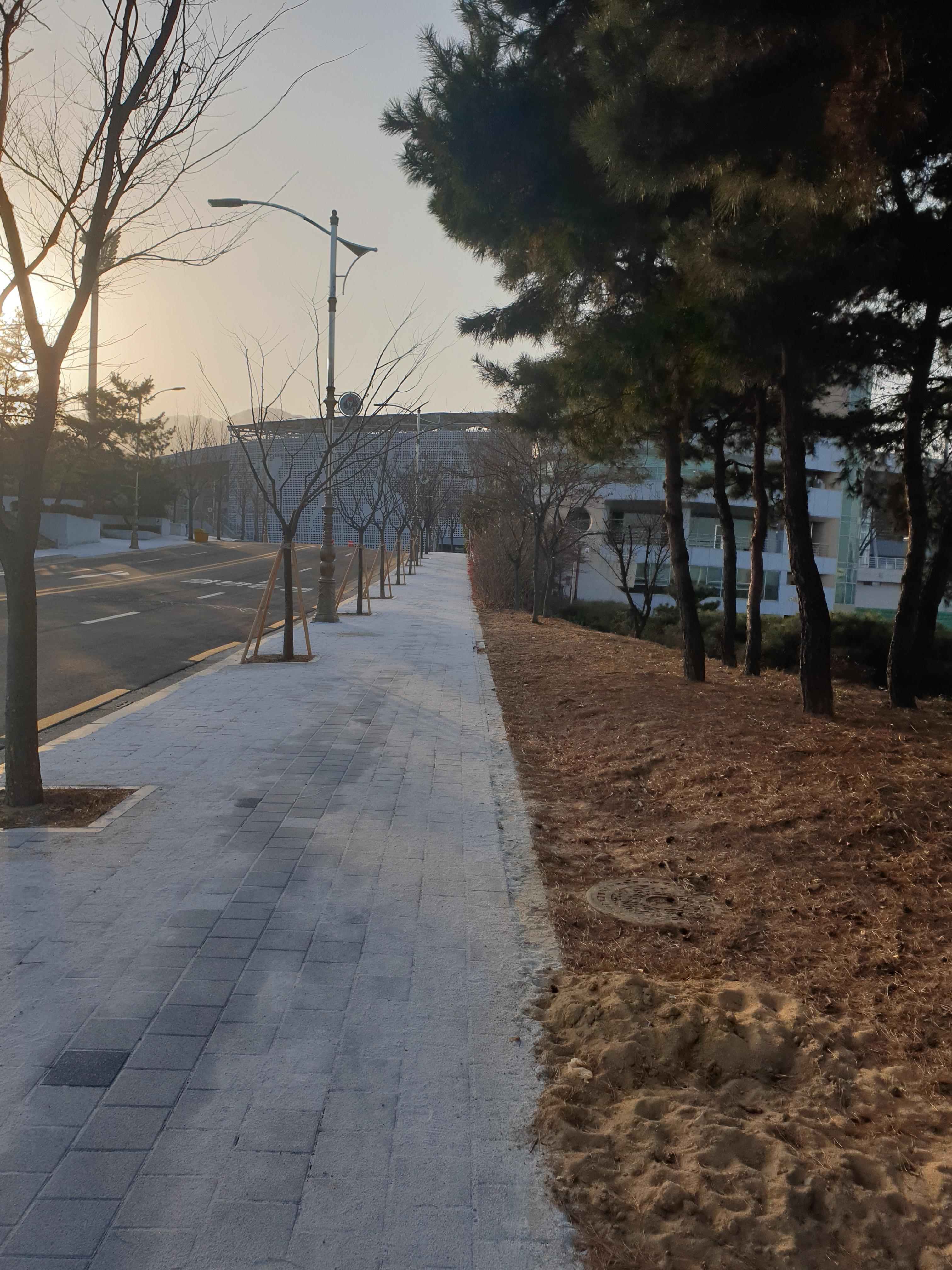  내 일상 0113
