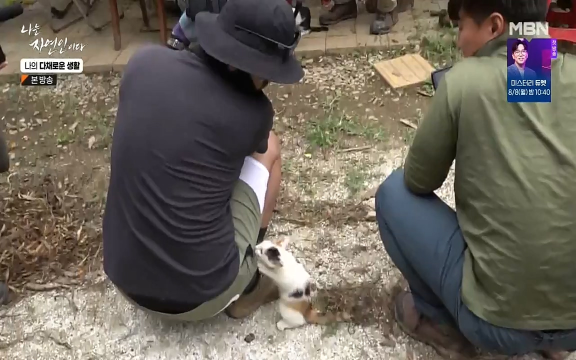 나는 자연인이다.E513.220804p-NEXT.mp4_20220804_201955.742.jpg