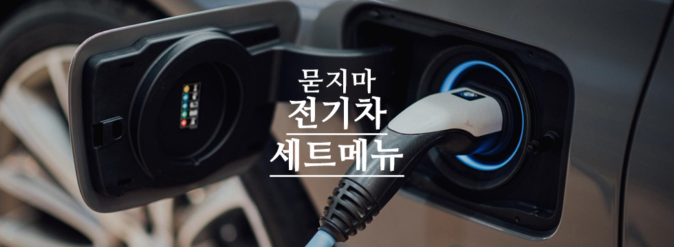  테슬라 (TSLA) + 루시드 (LCID) +  전기차 ETF = 전기차관련 거미줄 전법
