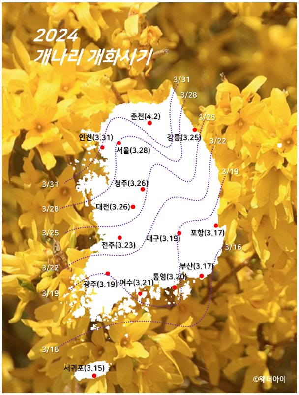 개화 이미지