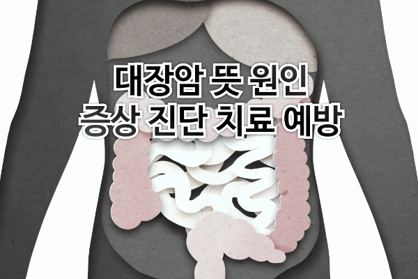 대장암 뜻 원인 증상 진단 치료 예방