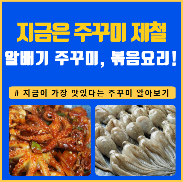 주꾸미 철