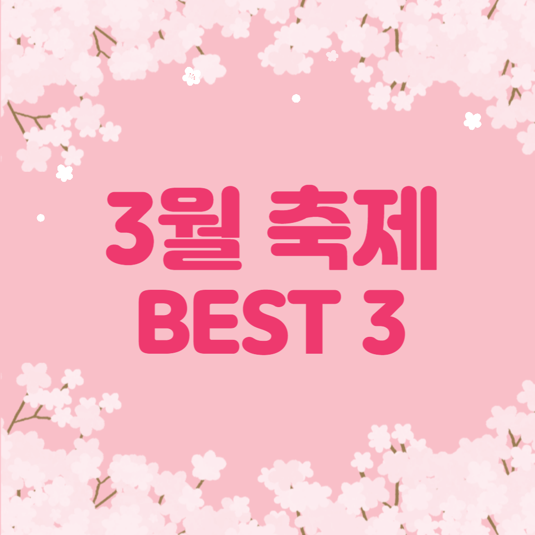 3월 축제 참고 사진