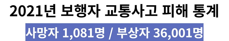 2021년 교통사고 피해현황