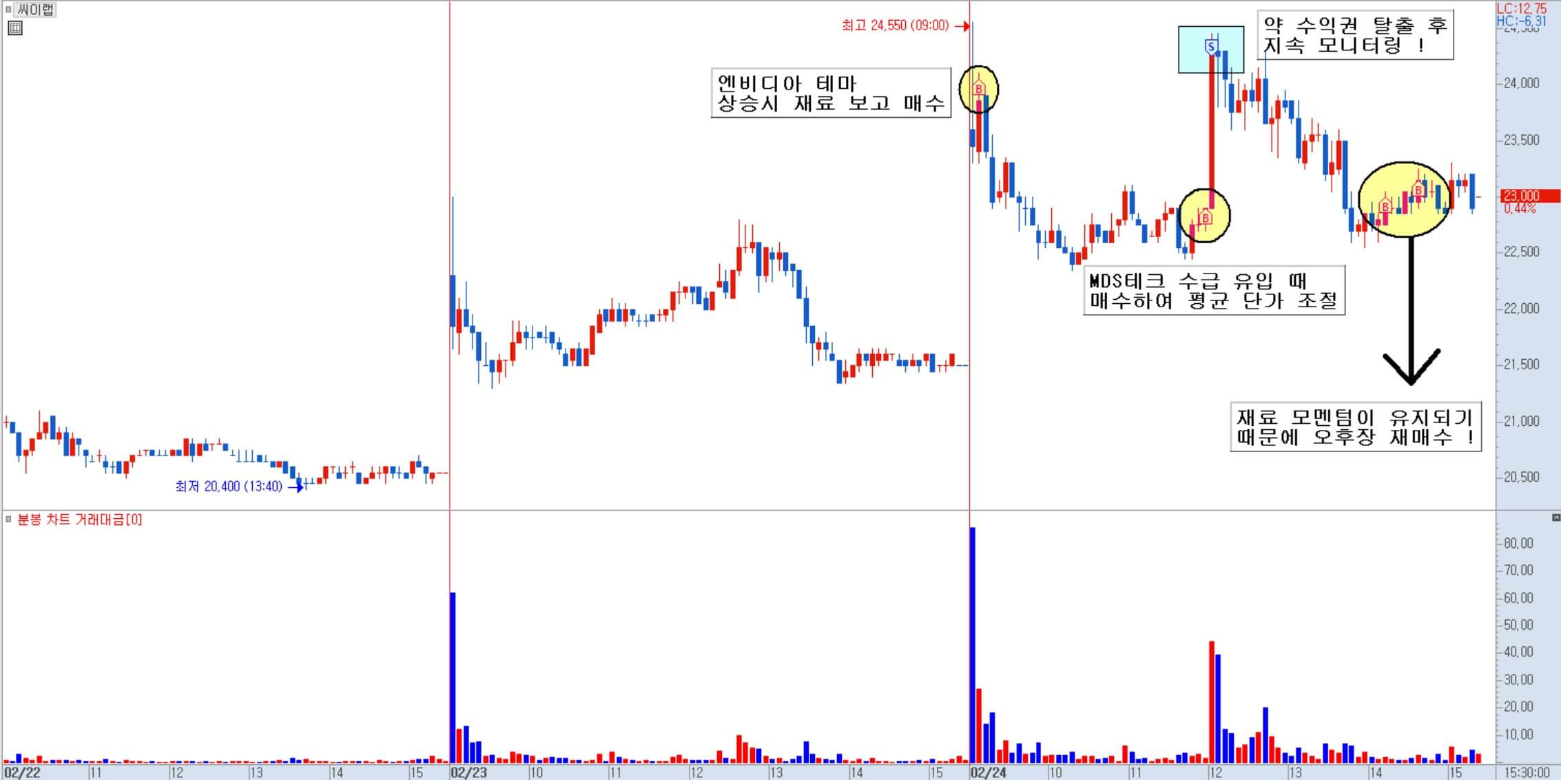 CeLab의 세분화 차트