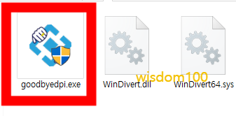 GoodbyeDPI 실행 파일