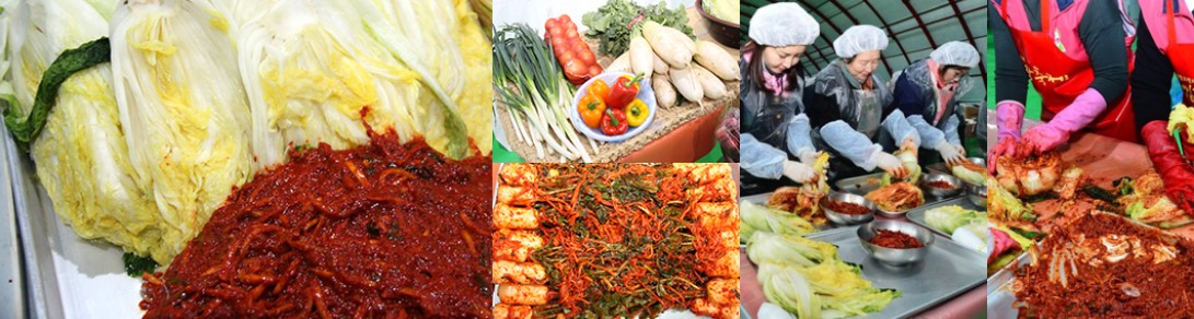 평창 고랭지 김장 배추 축제