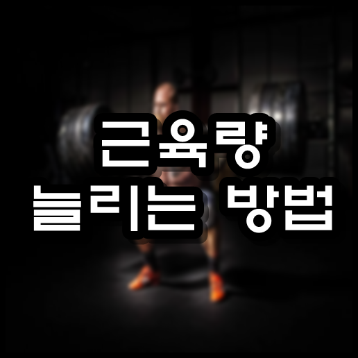  근육량 늘리는 방법