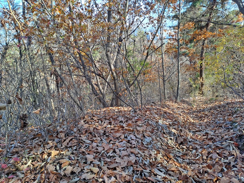 쌓인-낙엽으로-사라진-등산로