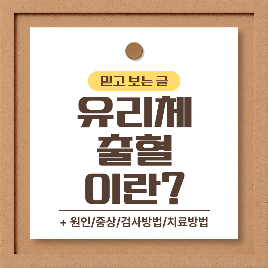  유리체 출혈 이란?