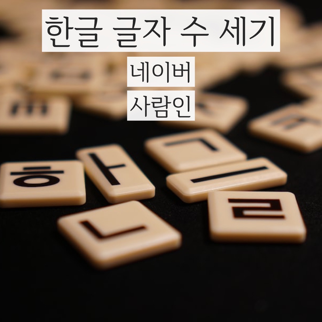  한글 글자수 세기 네이버 말고도 있습니다. 사람인 한글 글자수 세기 (feat. 맞춤법 검사기 네이버 등등)