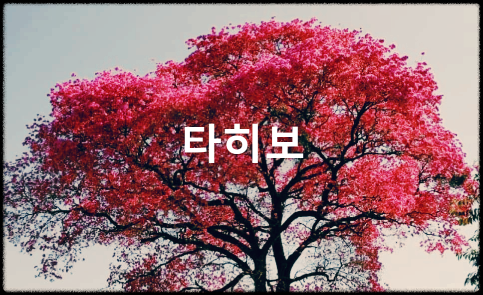  타히보 : 타히보 나무 내부 수피를 채취한 재료