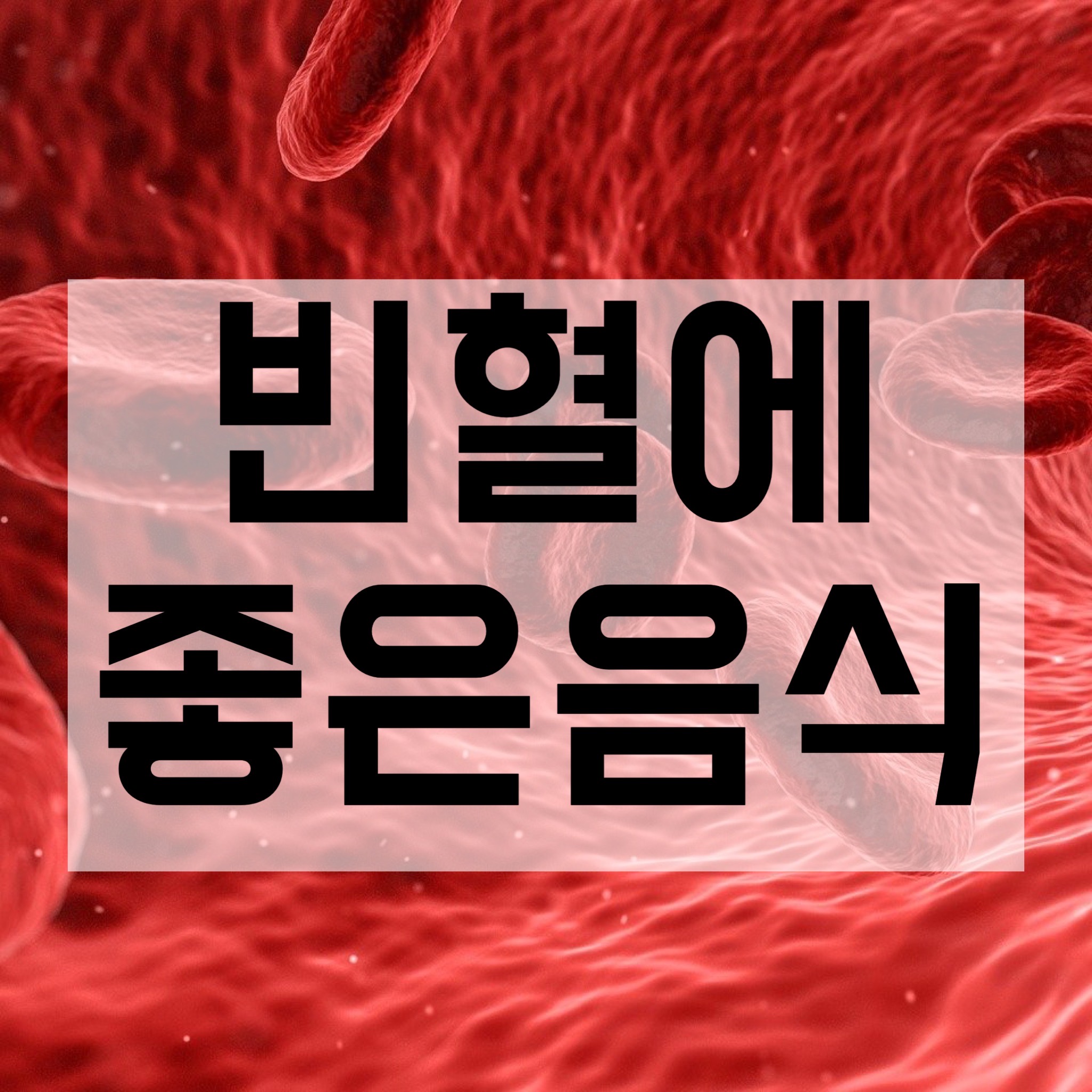  빈혈에 좋은 음식