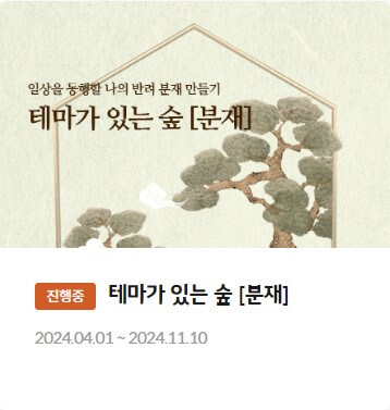 화담숲 가을 단풍시기