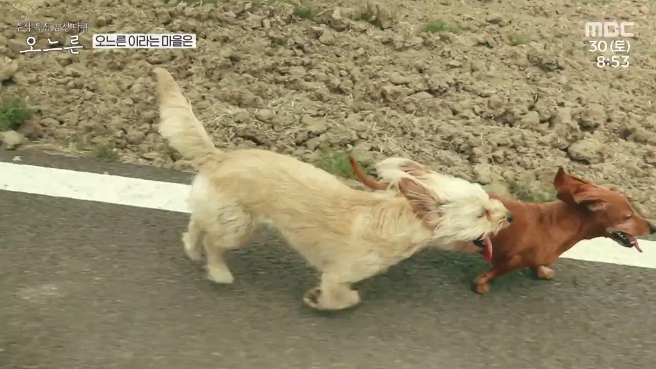 추석특집 감성 다큐 오느른.E01.230931p-NEXT.mp4_20231003_165602.731.jpg