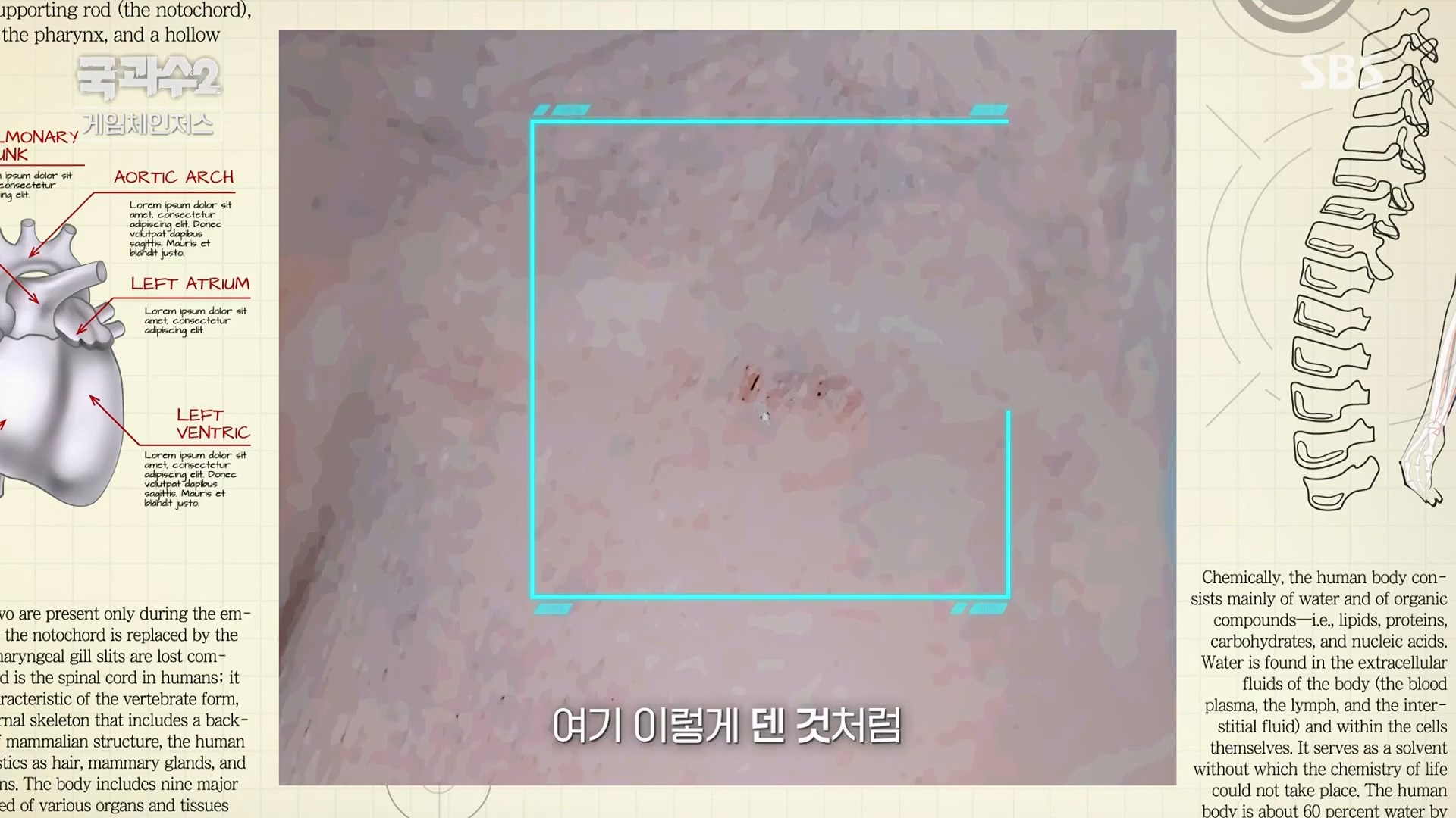 SBS 스페셜.E653.230917p.H264-F1RST.mp4_20230919_201804.321.jpg
