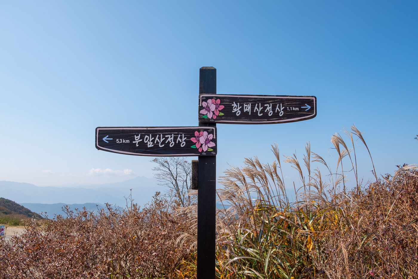  황매산군립공원 10/17