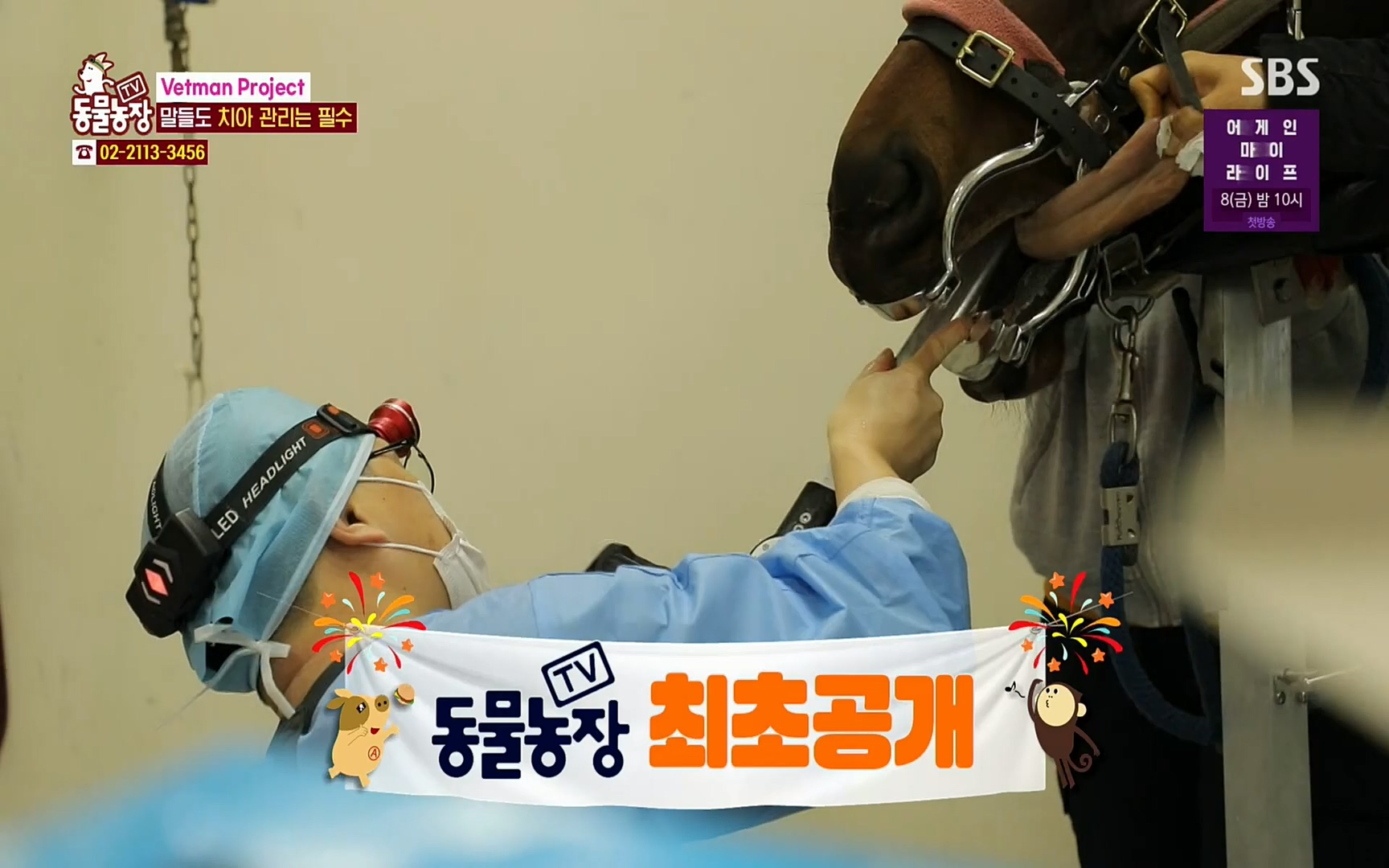 TV 동물농장.E1062.220327p.H264-F1RST.mp4_20220327_174502.936.jpg