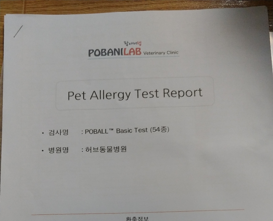  강아지알레르기검사 피검사