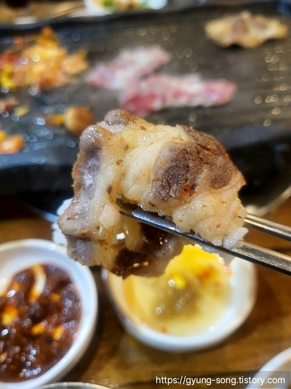 불구이돈 이미지