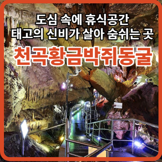 천곡황금박쥐동굴