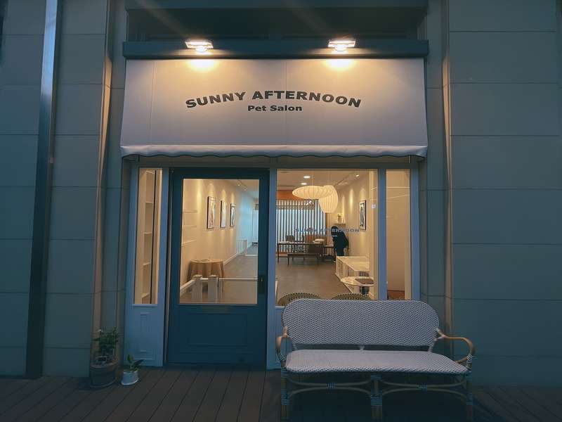 경기도 의왕시 애견미용 잘하는 곳 BEST4 | 예약하기 | 후기로 알아보기 | 가격비교하기 | 인기 샵 소개 | 총정리 - 4. 써니애프터눈 펫살롱 소개 - 4.2 고객 후기 4.2 고객 후기