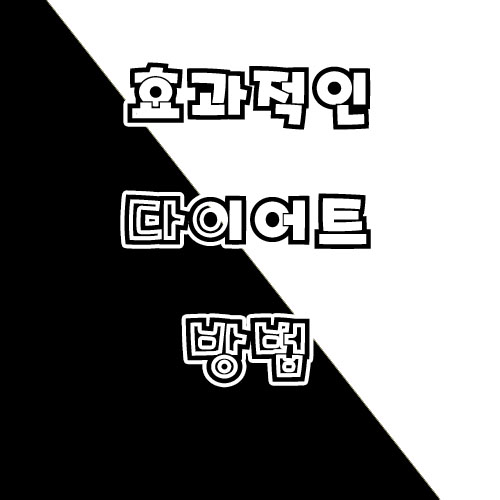  효율적인 다이어트 방법