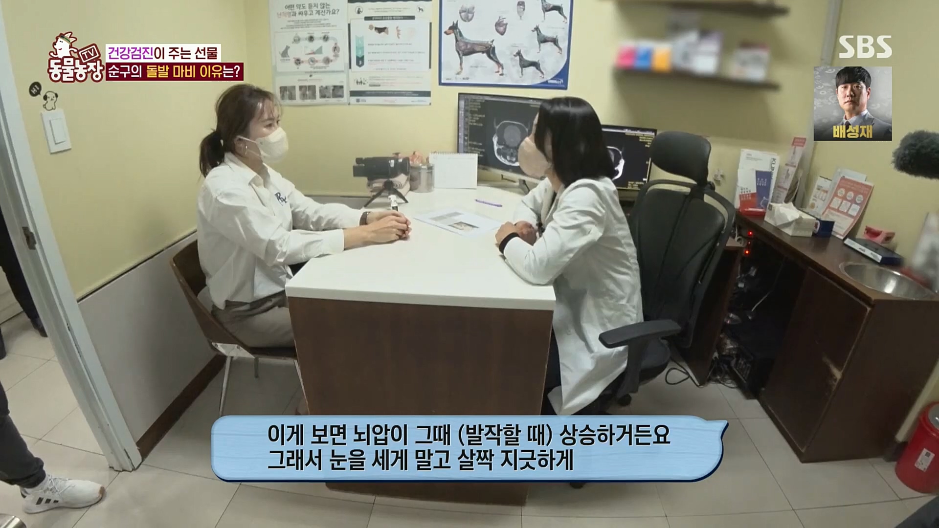 TV 동물농장.E1097.221127p.H264-F1RST.mp4_20221127_181704.133.jpg