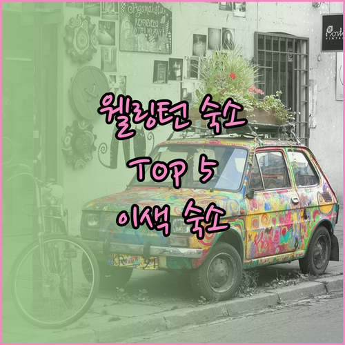 웰링턴에서 잊지 못할 추억을! 특별한