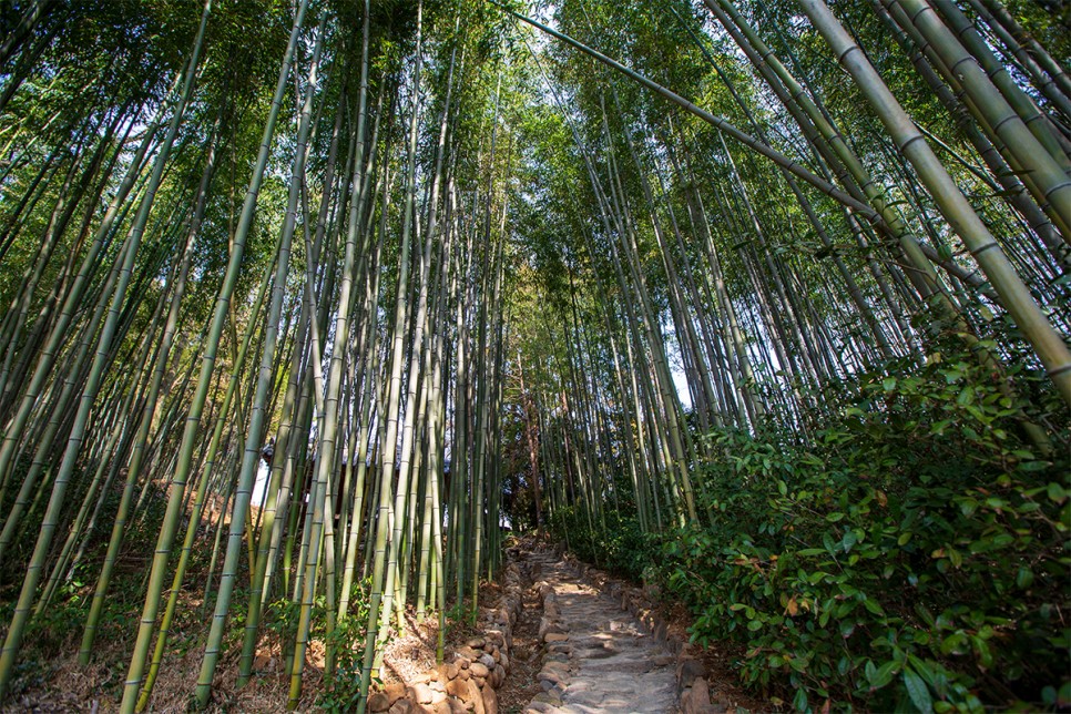 윤스테이 구례 구례 가볼만한곳 윤스테이 21