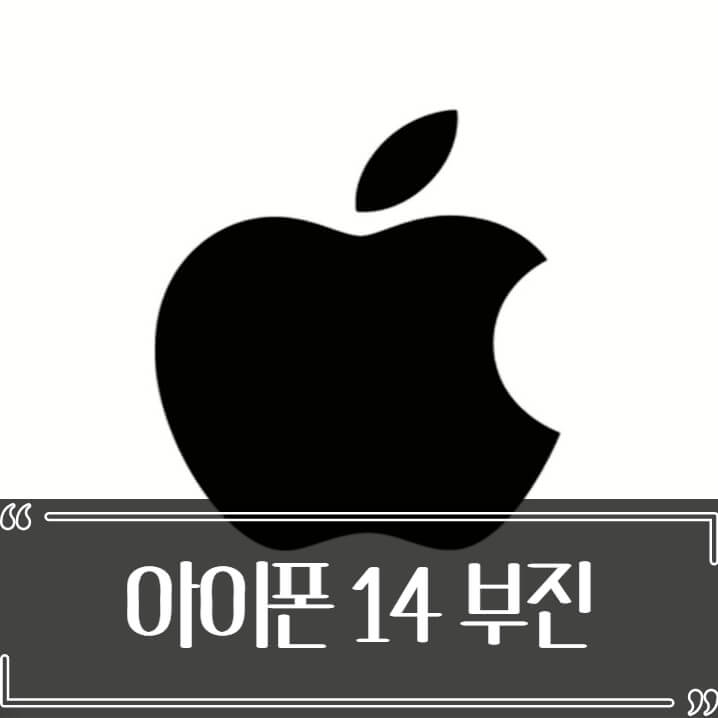  아이폰 14 판매 부진 애플 주식 급락