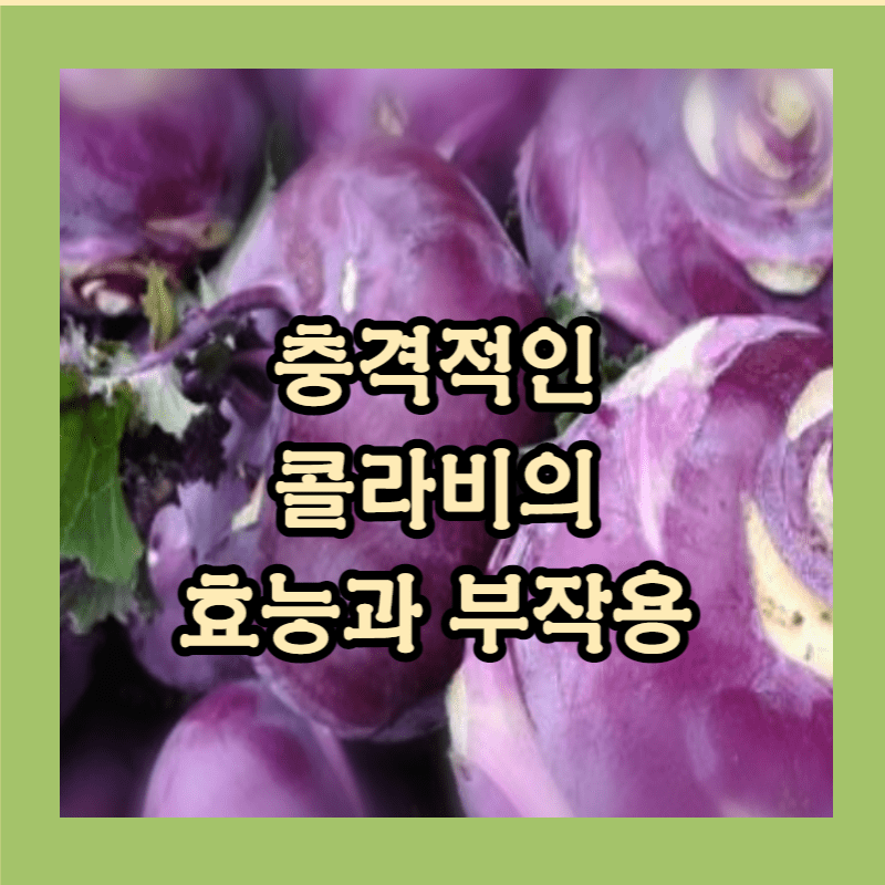 콜라비의 효능과 부작용