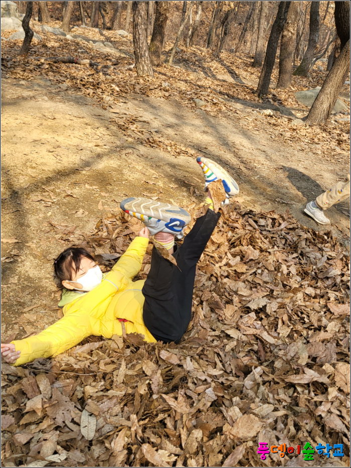 사계절을담다 이미지