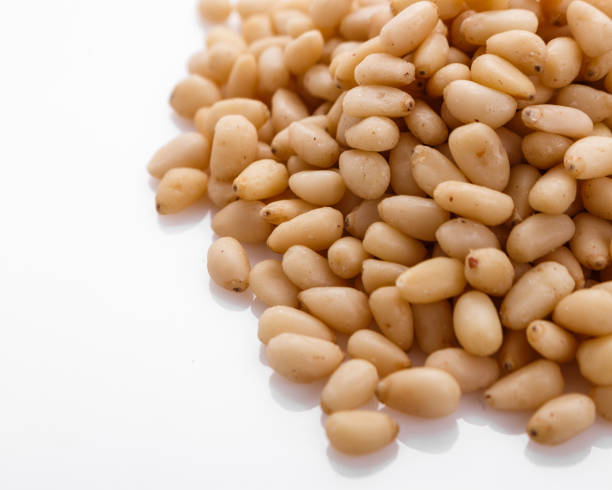 파바콩(Fava beans) 효능