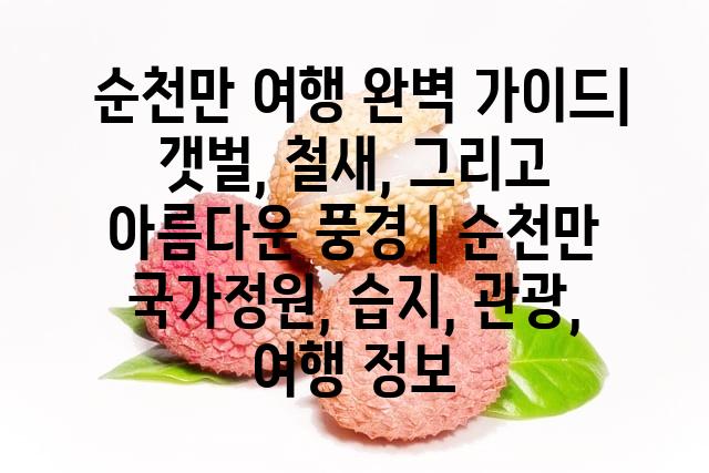 랜덤146