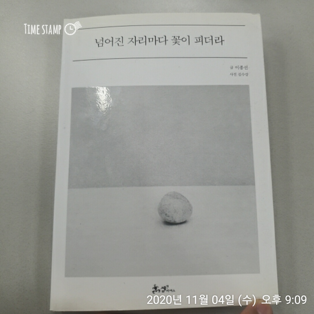  넘어진 자리마다 꽃이 피더라 불행들은 찾아온다