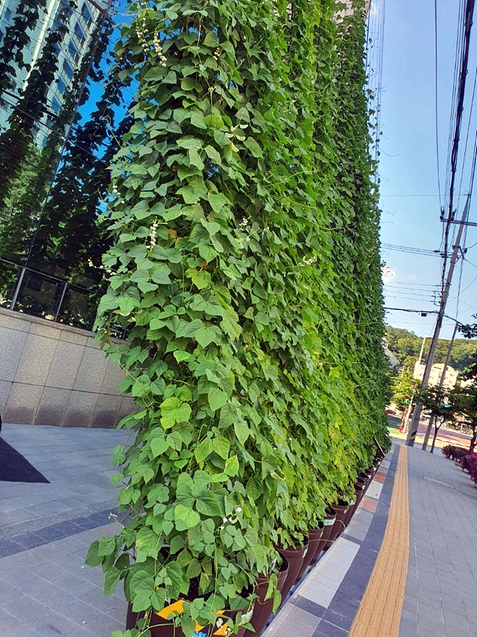 kbs1tv 다큐온 KBS1TV // 회천3동 생태그늘막 15