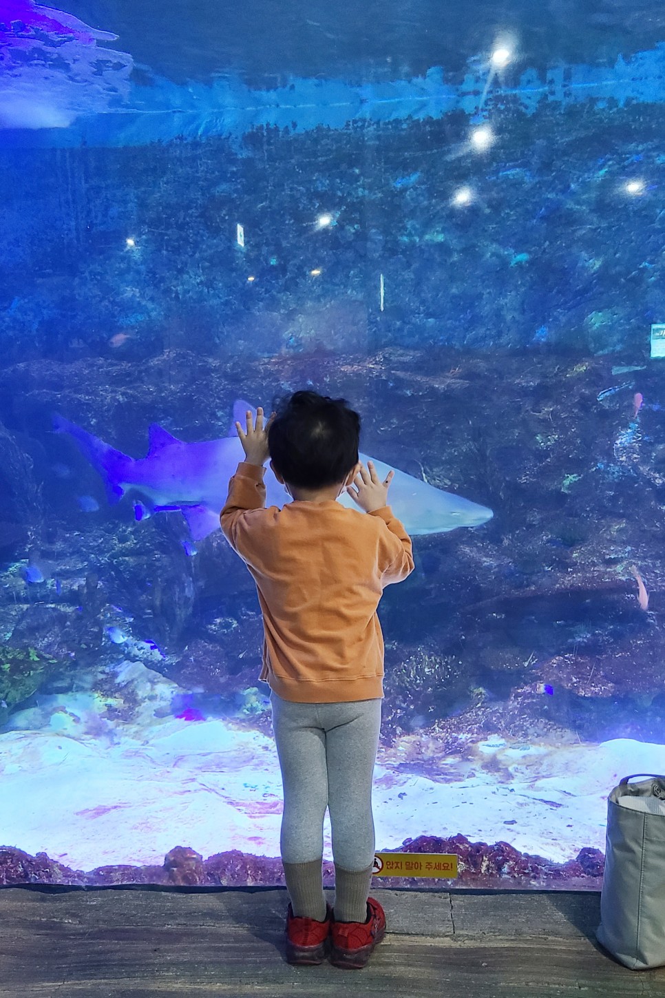 부천 아쿠아리움 부천 아쿠아리움먹이주기 체험 10