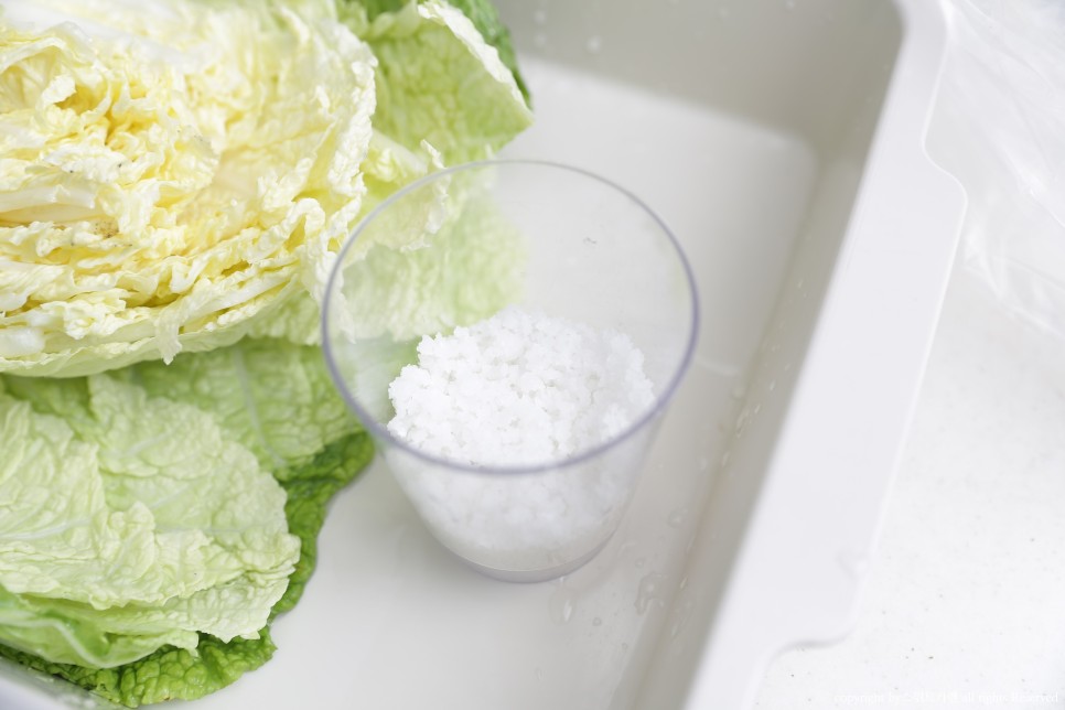 짠맛 김장봉투로 간단하게 속이 꽉 찬 배추절임 배추절임 시간 5