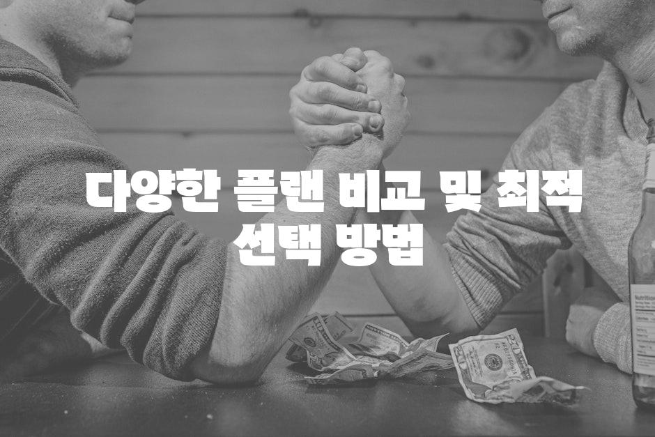 - 다양한 플랜 비교 및 최적 선택 방법