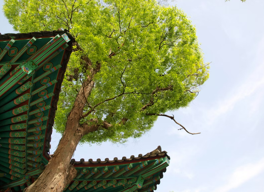 공주 마곡사