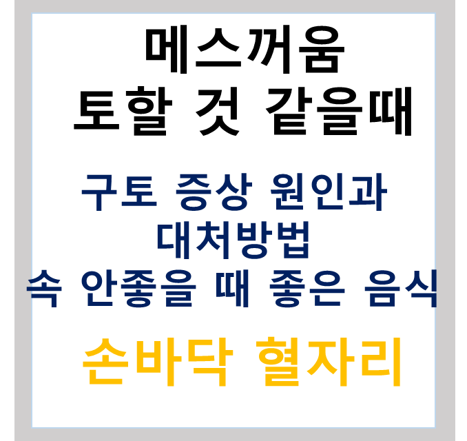 메스꺼움 토할 것 같을 때 구역질 날 구토 대처방법 원인과 좋은 음식(+식중독 걸렸을 때 증상 좋은 음식)
