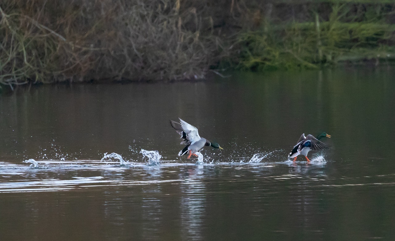 프리랜서 크리에이터 절세 팁