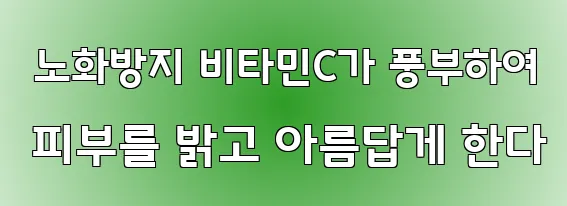  노화방지 비타민C가 풍부하여 피부를 밝고 아름답게 한다